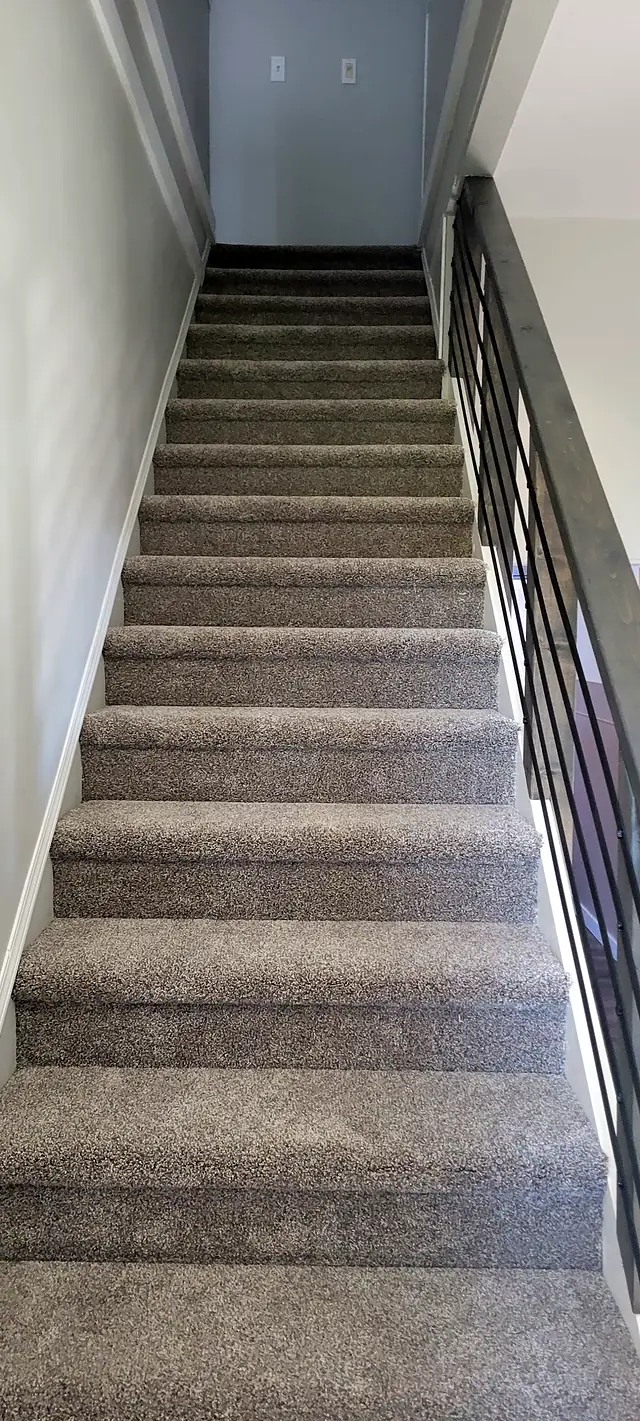 Carpeted staircase with a black metal railing